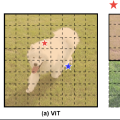 Deformable Attention